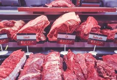 L’UE s’est engagée à ouvrir d’importants contingents d’importation tarifaires pour une série de produits sensibles, notamment 99 000 tonnes de viande bovine.