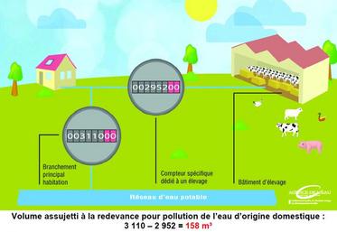 Schéma d'installation d'un compteur spécifique pour les installations d'élevage (Source Agence de l’Eau Artois Picardie).