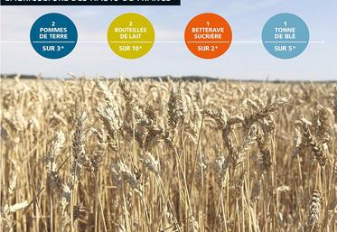 Le résultat économique de la branche agricole est de plus en plus volatile et les besoins en main-d’œuvre sont croissants : l’emploi agricole est en repli de 1,8 % depuis 2010 dans les Hauts-de-France. 
