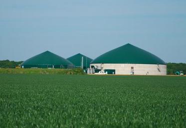 La filière s'attend à un arrêt des nouvelles contractualisations durant «plusieurs mois, voire années».