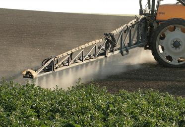 Il est question de séparer complètement toutes les activités de vente de phytos et de conseil.