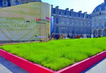 Du 3 au 9 juin, une parcelle de lin de 1 000 m2 a coloré d’un vert acidulé la place du Palais-Royal à Paris.