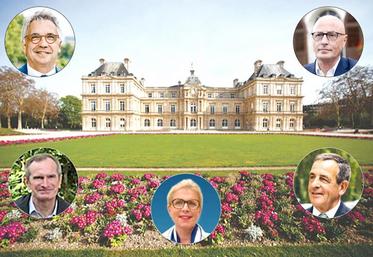 De gauche à droite : Laurent Somon, Benoît Mercuzot, Stéphane Demilly, Patricia Chagnon, Jean-Marie Desachy.