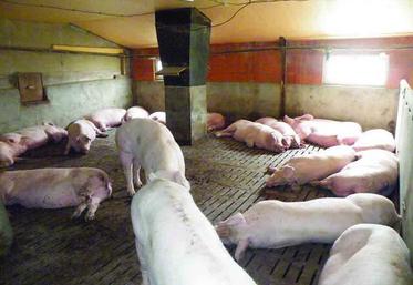 Un questionnaire national a été envoyé à l’ensemble des éleveurs ; combiné à d’autres informations, 
il va permettre de classer les élevages en différentes catégories par rapport à l’obligation de mise aux normes.