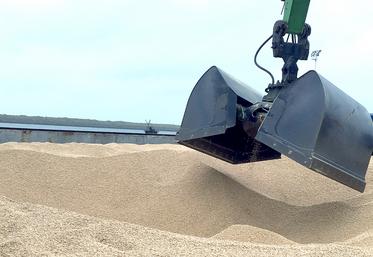 Dans l’ensemble, la plupart des prix des produits agricoles sont revenus à leur niveau d’avant crise, voire à un niveau supérieur. C’est le cas, entre autres, des céréales. 