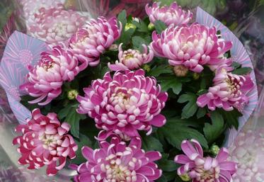 Les fleuristes peuvent accueillir du public jusqu’à dimanche soir et devront ensuite se consacrer à la vente à distance avec livraison ou retrait en magasin.