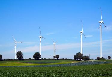 En reconnaissant que la Somme compte déjà un grand nombre d'éoliennes, Barbara Pompili appelle les autres départements picards à "prendre leur part".