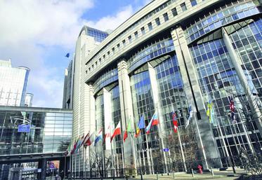 Le budget de l’Union européenne sera de 133 millions d’euros en 2017 contre 111 millions en 2016.