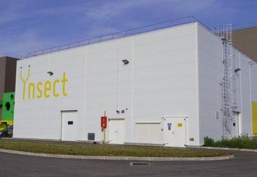 Après Dole (39), Ynsect se projette dans sa future usine de Poulainville, dans l'Amiénois.