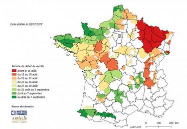 Estimation de la date de début de récolte de maïs fourrage 2018 par région au 20 juillet.