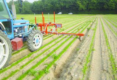 Une rampe de désherbage localisé ajustée à la structure des billons.