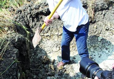Le non labour permet d'améliorer la  structure du sol. Ici chez Bertrand Patenôtre dans l'Aube.