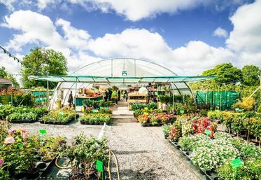 Les serres de Villers-Campsart ont été obligées de fermer. Le gérant, Frédéric Lemaire, espère que les magasins alimentaires restés ouverts ne feront pas de concurrence déloyale pour les plantes.