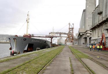 La France devrait livrer à elle seule un tiers des grains d’origine européenne destinés à l’exportation durant la campagne 2019-2020.