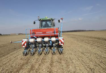 Un semoir bien réglé permet de semer avec précision, et donc d’optimiser les rendements.