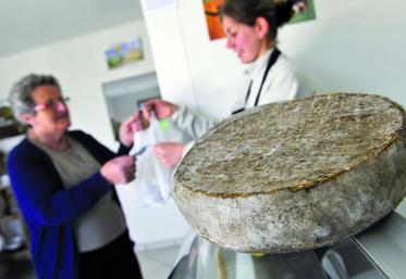 La commercialisation en circuit court étant chronophage, elle nécessite d’être réfléchie pour organiser son travail efficacement.