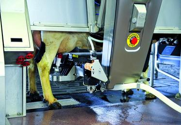 Les installations à 2 ou 3 stalles représentent dorénavant plus de 25 % des projets.