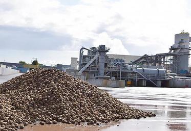 Le groupe Saint Louis Sucre affirme avoir d’ores et déjà atteint le volume minimum de betteraves nécessaire au bon 
fonctionnement de l’usine de Roye pour la campagne 2020.
