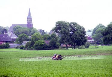 «On ne peut pas faire zéro pesticides dans l’agriculture aujourd’hui, si je dis ça aux agriculteurs, que restera-t-il en termes de production ?» a déclaré le ministre de l'Agriculture, Stéphane Le Foll, pour qui le changement de modèle est nécessaire mais c’est «une mutation profonde, qui prendra un peu de temps».