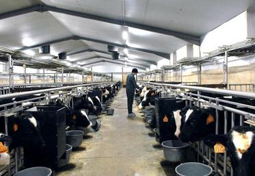 Le niveau d’exposition des veaux aux antibiotiques est passé de 5,74 en 2013 à 3,41 en 2016-2017, soit une baisse 
significative de 40 %.