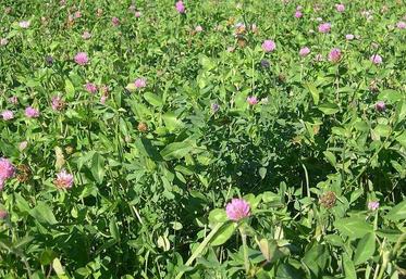 Une augmentation des surfaces est constatée : l'enveloppe fixe de la Pac doit être partagée.