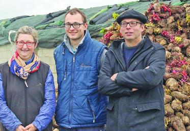 Christine, Arnaud et Lionel Bouffaré, associés du Gaec Bouffaré : «L'incorporation de la betterave dans l'alimentation 
des laitières a permis d'augmenter les taux protéique et butyreux du lait et de diversifier l'assolement.»