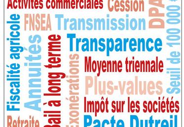 Le projet de réforme doit être présenté à la fin du premier semestre au Parlement. 