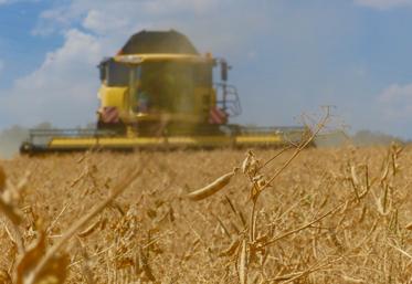 Pour les cultures de printemps, «on avait beaucoup d’inquiétudes, et finalement, ça ne semble pas si triste que ça», remarque Jean-Jacques Charpentier. 