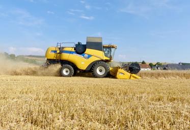 L’AGPB s’inquiète des conséquences du Green Deal dont la perte de 30 % de productivité céréalière.