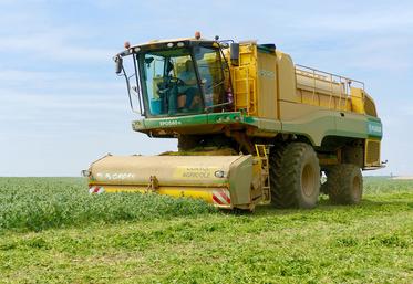 Engagé dans une stratégie de «croissance durable à impact positif», le groupe Bonduelle a annoncé vouloir privilégier le développement de ses marques propres, ce qui n’est pas évident aux États-Unis. 