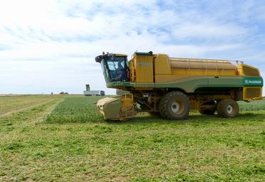 Pour la troisième campagne consécutive Bonduelle annonce augmenter le prix payé aux producteurs des Hauts-de-France.