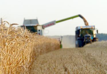 Pour un échantillon de producteurs suivis par le groupe Carré, les charges de structure se montent à 1 098 €/ha en 2021.