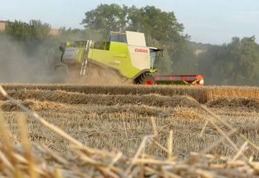 Environ 10 % des blés ont été battus dans la Somme fin de semaine dernière. Les rendements sont un peu décevants, mais la qualité était bonne. 