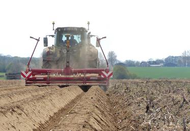Aujourd’hui, il n’est pas possible de planter les pommes de terre en direct dans la pré-butte. Un travail sur le couvert est encore à mener pour y parvenir. 