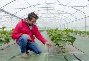 Pour Vincent Liénart, le plus gros défi est de parvenir à produire dans une terre complexe. 