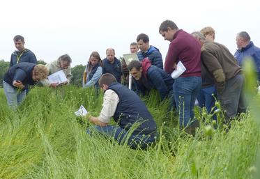 Les visites d’essais sont l’occasion de découvrir de nouvelles pratiques. 
