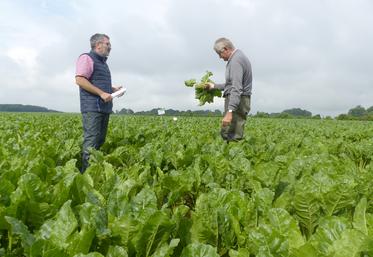 Le GIEE sols vivants du Ponthieu - Phytosez travaille, par exemple, sur la gestion des sols et des produits phytosanitaires. Il a notamment réalisé des essais  d’alternatives aux NNI sur betteraves chez Serge Ducrocq, à Gorenflos.