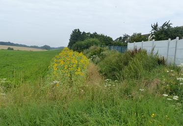 En cas de non-respect de la réglementation, les sanctions peuvent être lourdes.