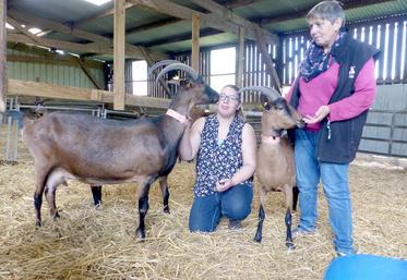 Élisa a trouvé avec l’élevage de chèvres une diversification dans laquelle elle s’épanouit. «J’apprends tous les jours», confie-t-elle. Elle peut notamment compter sur le soutien de sa mère, Maryse. 