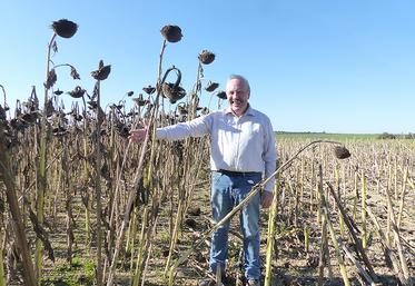 Malgré la déception à la récolte, Jean-Michel Van Ooteghem croit en cette nouvelle tête d’assolement pour ses petites terres. Il compte en semer 18 ha au printemps prochain. 