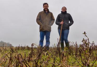 Nicolas Mourier, épaulé d’Angélique, apprentie étudiante en agronomie à l’UPJV, poursuit l’amélioration de ses pratiques. Ici, un essai de différents couverts dans du blé. 