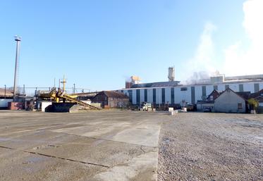 Le marché dynamique du sucre est de bon augure. 2 000 ha de plus pourraient être emblavés au printemps, dans un rayon de 50 à 60 km autour de Sainte-Émilie. 