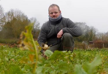 Après une longue recherche, Jérôme Parmentier dispose d’une parcelle  de 6 500 m2 qui rend son activité de maraîcher bio viable. Un partenariat  gagnant-gagnant avec la ville de Longueau.