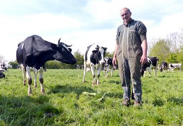 En pleine période de pâturage, Franck Dehondt parvient à réduire de trois-quarts la ration de ses vaches. 