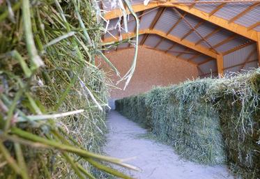 Le bâtiment est capable de sécher l’équivalent de 16 ha de luzerne pressée en trois ou quatre jours. 