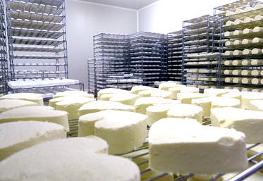 Pierre Villiers transforme le lait des 86 vaches de l’exploitation familiale – à 70 % des normandes – en fromage. 