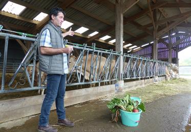 Grâce au collectif «viande à l’équilibre» de la plateforme Approlocal, les éleveurs bio comme Olivier Desmarest  peuvent vendre des bêtes entières aux cantines des collèges. 