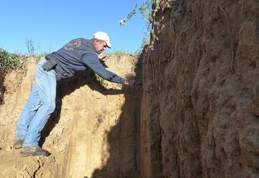 Le couvert permanent de luzerne améliore la structure du sol, et donc sa qualité. Mathieu Cavillon a pu le mesurer lors d’un profil de sol. 