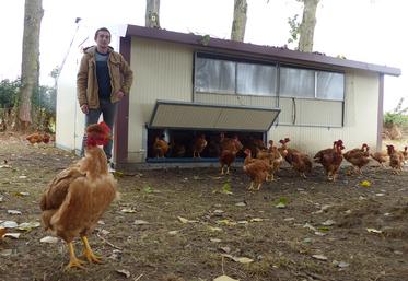 Pour optimiser l’espace, Nicolas Dumont a fait le choix de poulaillers mobiles. 