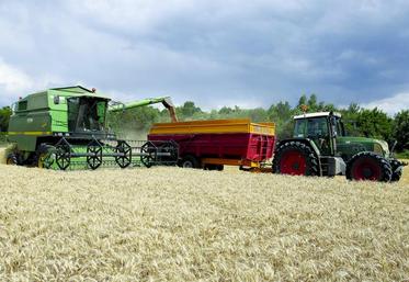 En fonction des degrés différents de maturité, la récolte des escourgeons risque de s'étaler sur trois semaines.